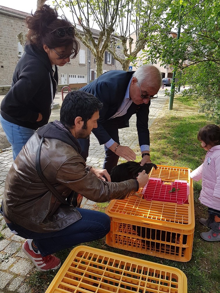 Remise de poules