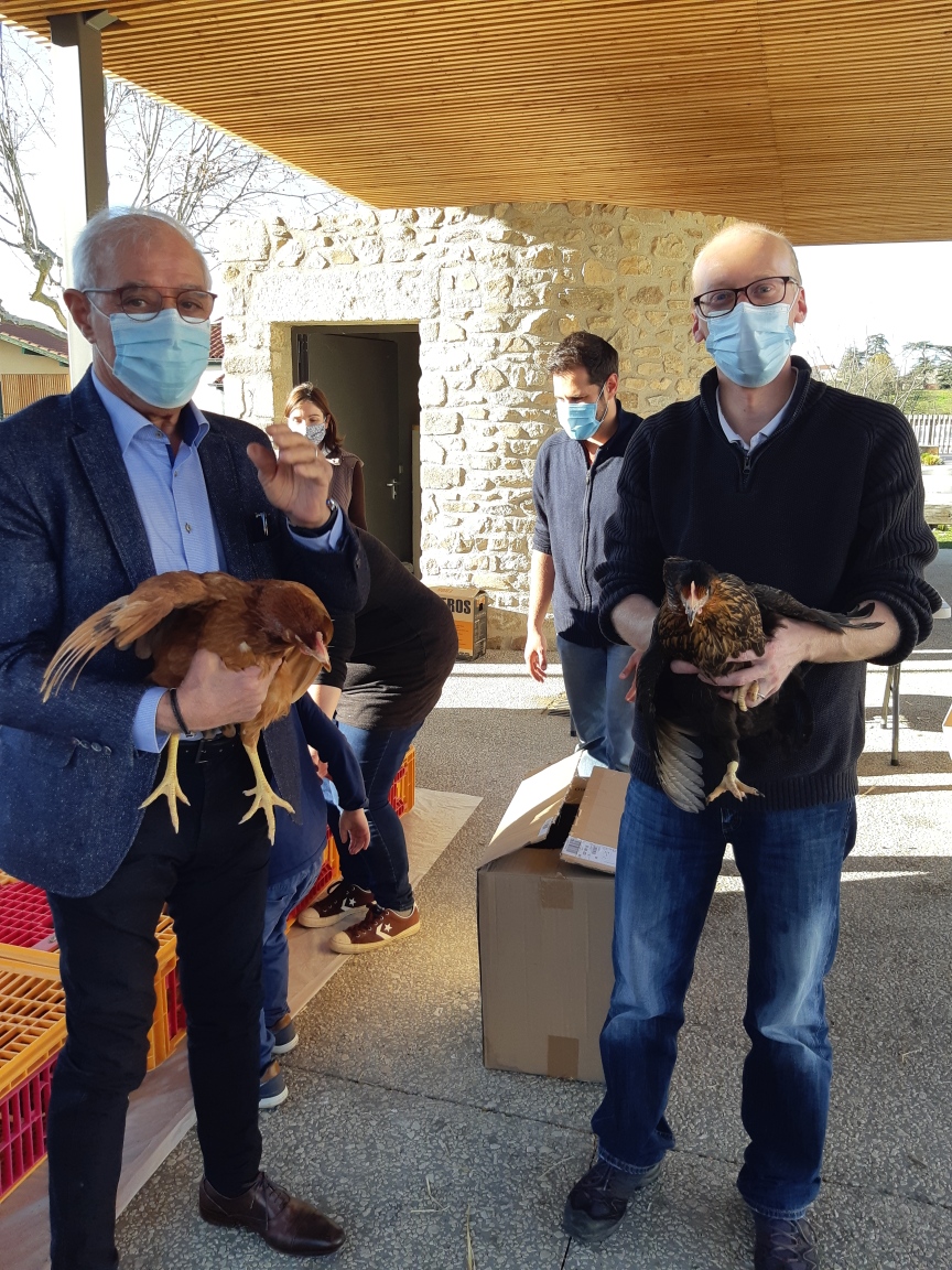 REMISE DE POULES À ORLIÉNAS