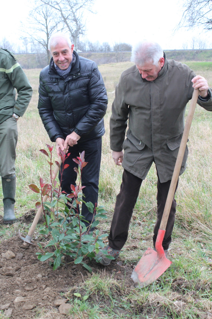 TERNAY. DÉVELOPPEMENT DURABLE : 1 100 ARBRES « VERTUEUX » PLANTÉS SUR LA ZONE DE CAPTAGE