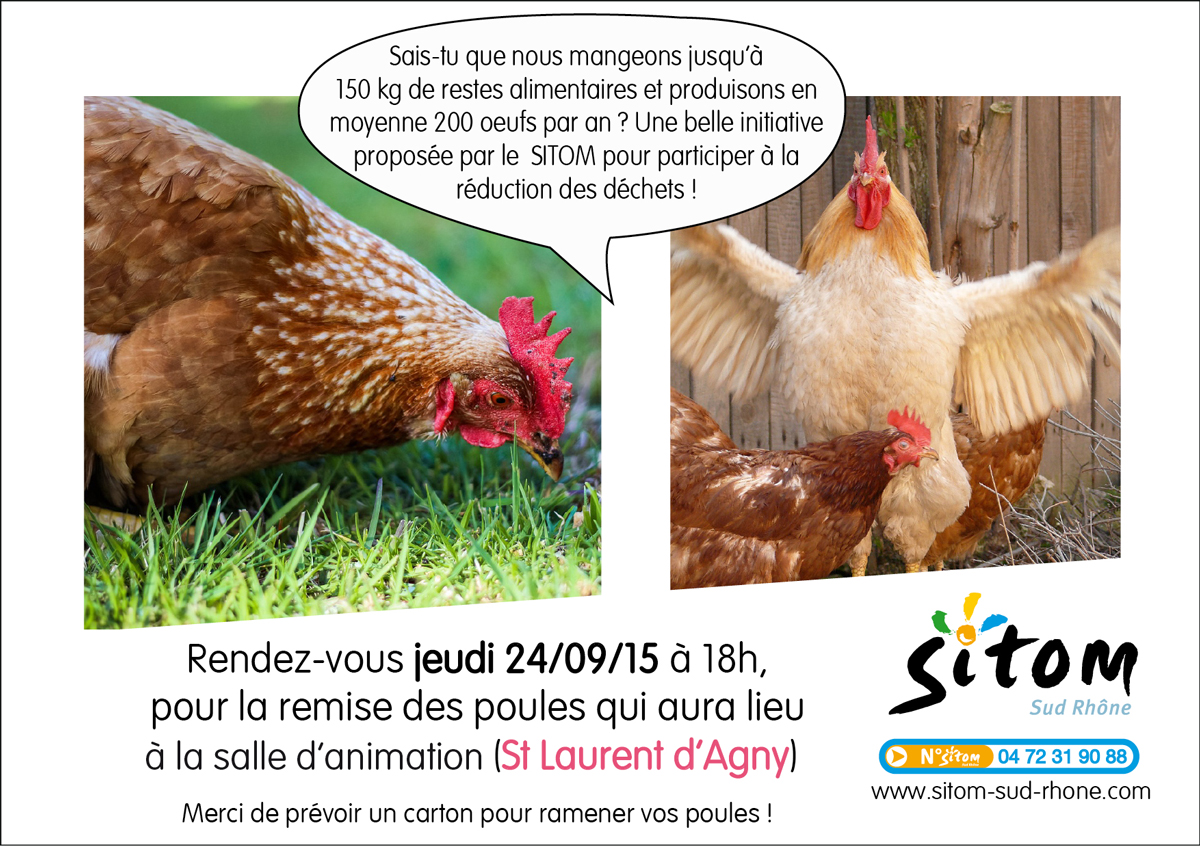 REMISE DES POULES À SAINT LAURENT D’AGNY !